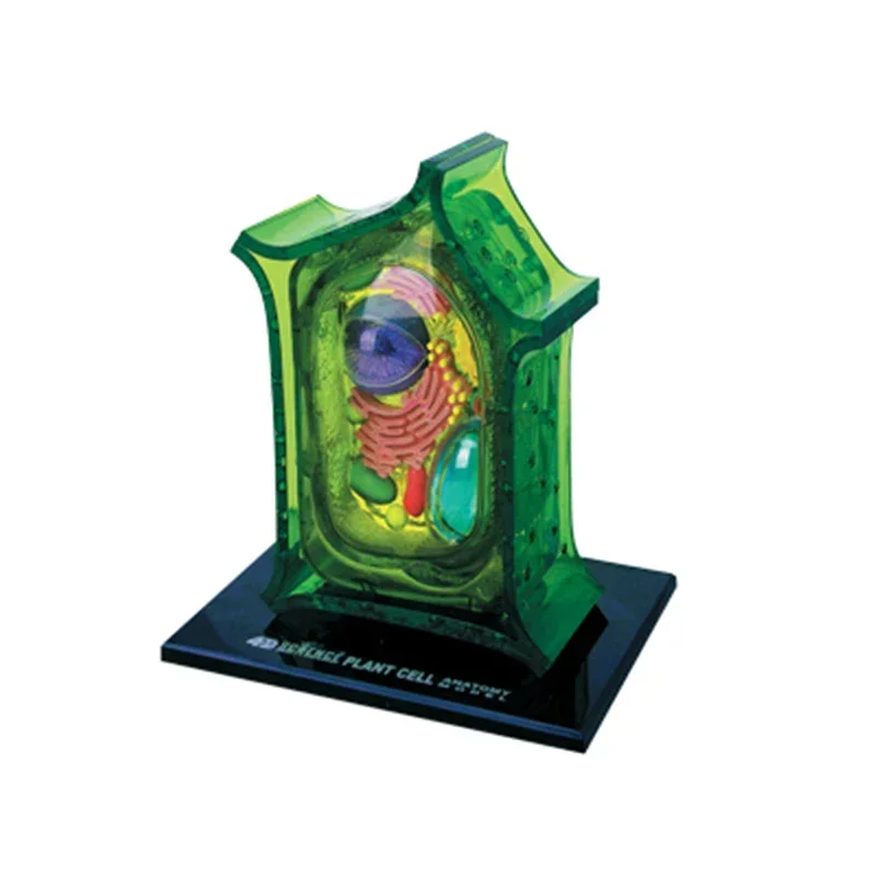 4D  puzzle building toy creatures, animals, plants, cells, organs, anatomy, medicine teaching models