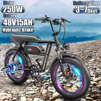 Electric Bike 250W Motor 48V15AH Lithium Battery Hydraulic Brake Motorcycle E-bike 20*4.0-In Fat Tire Off-Road Electric Bicycle