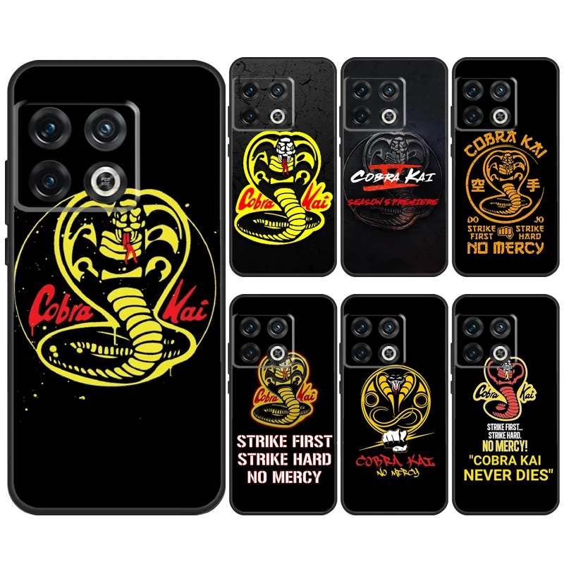 cobra kai seasons