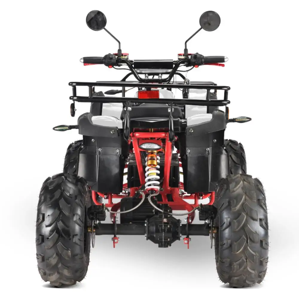 High Quality Wholesale ATV 2000w New Model Electric ATV For Adult Electric All Terrain Vehicles