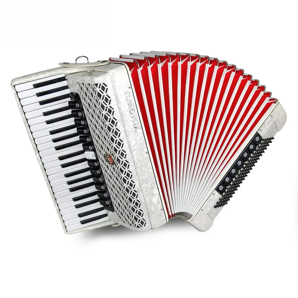 China Parrot 41 Keys 120 Bass 20 Register Diatonic Keyboard Accordion Piano Musical Instrument for Professional Perform