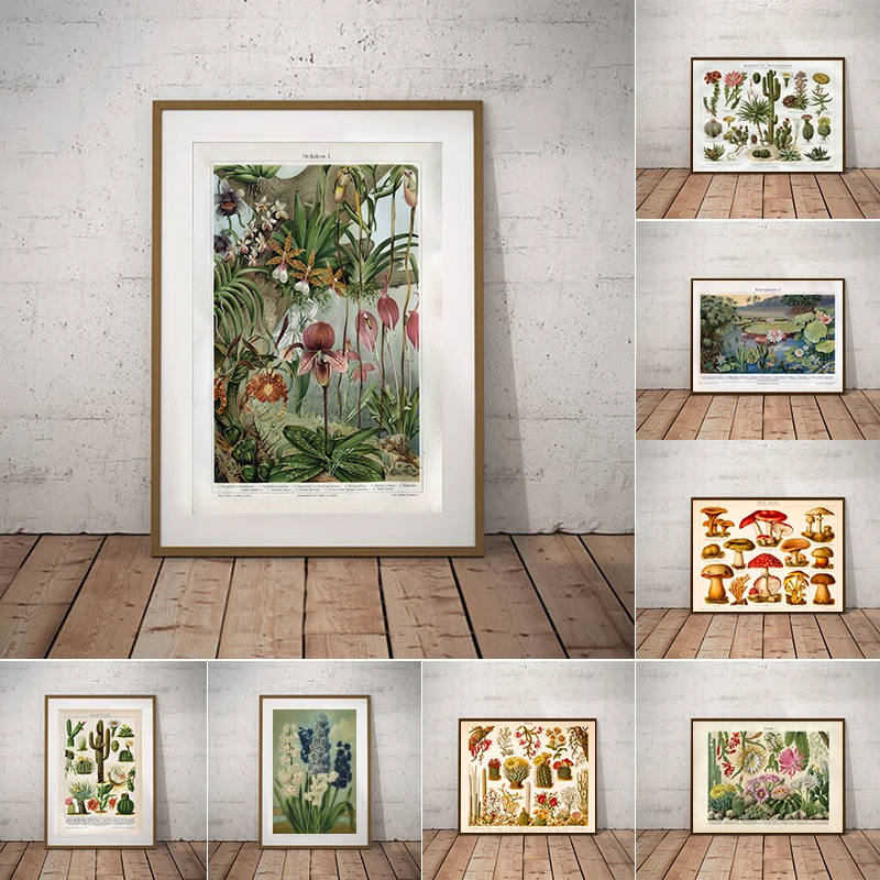 Orchids Late 1800s Botanical Poster Canvas Prints Snapdragon Antique Flowers Plants Wall Art Painting Picture Home Room Decor