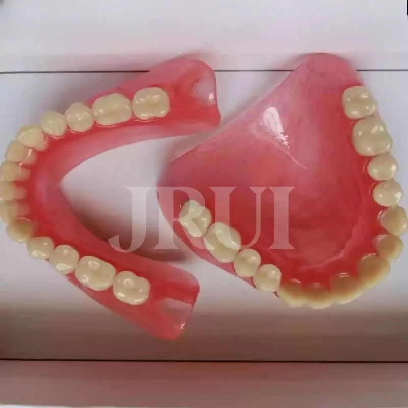 Removable Full Denture Model, Senior Complete Teeth Model for Teaching & Display