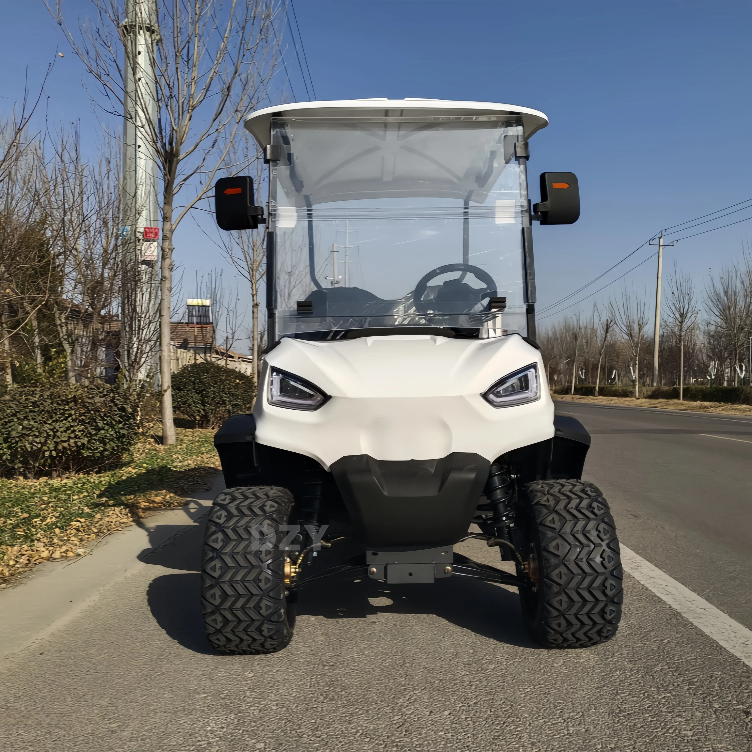 2025 Заводская поставка Мини-электрическая внедорожная тележка для гольфа Высокое качество Клубный автомобиль 2 сиденья 5 кВт Двигатель Сертификат EEC 48 В-72 В Оптовая продажа