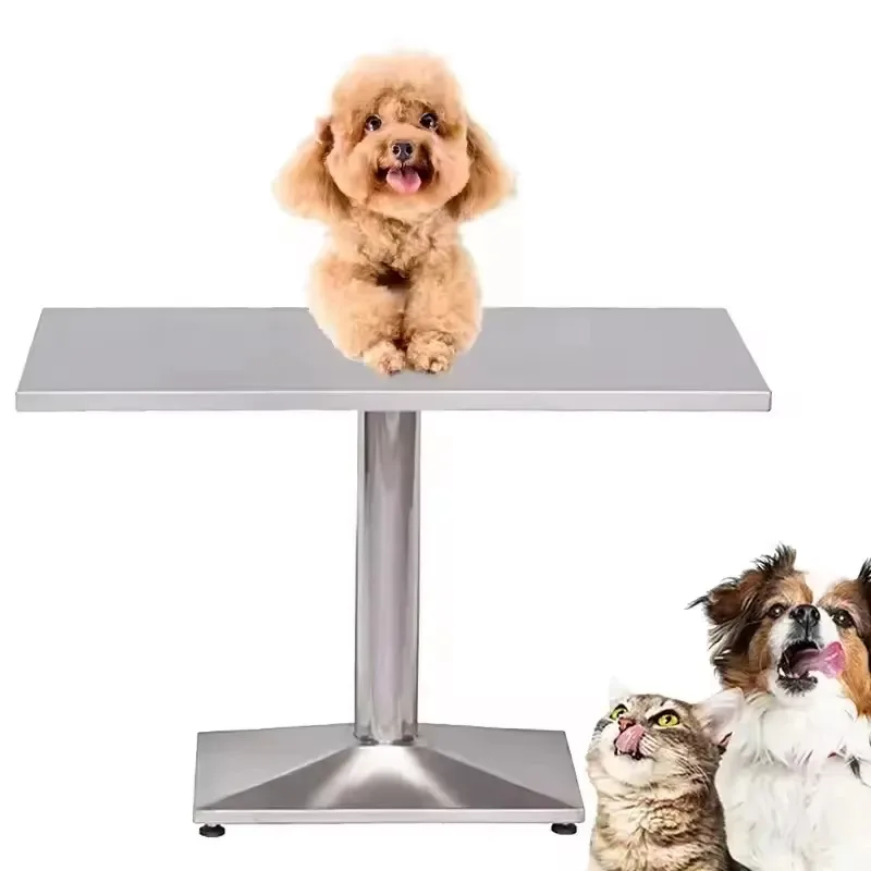 

Stainless Steel Examination Table Surgery Operation Diagnosis Consultation Table Veterinary Clinic Equipment