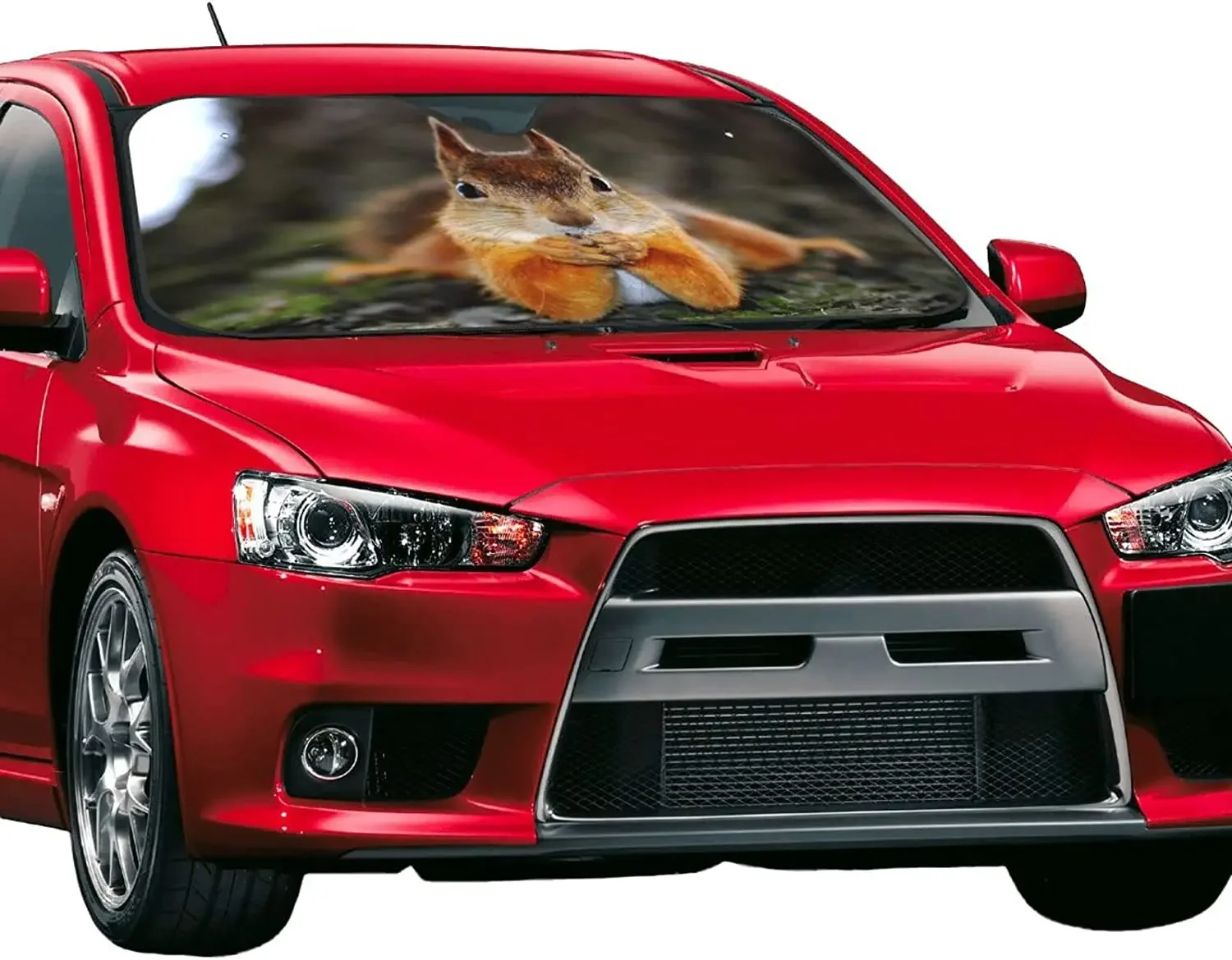 Cute Squirrel Car SunshadeWindshield Sun ShadeFoldable Car Front Window Sunshade for Most Sedans SUV TruckBlocks Max