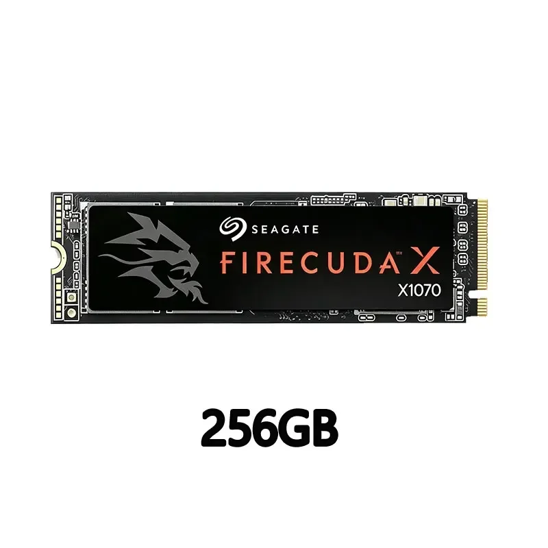 256GB