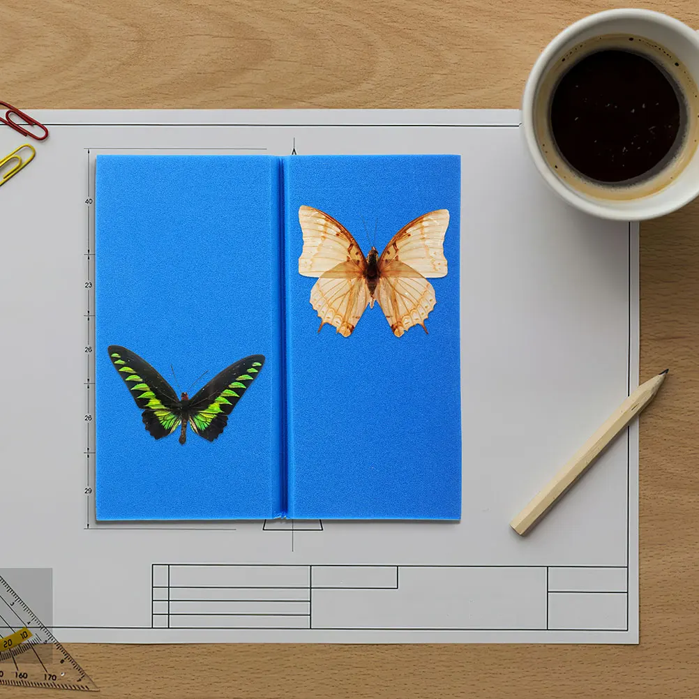 

2pcs Specimen Pinning Board Insect Display Case Blue Eva Foam Butterfly Fin Spread Fixed Plate Lightweight Tool Part