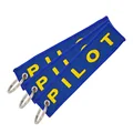 PILOT  BIUE
