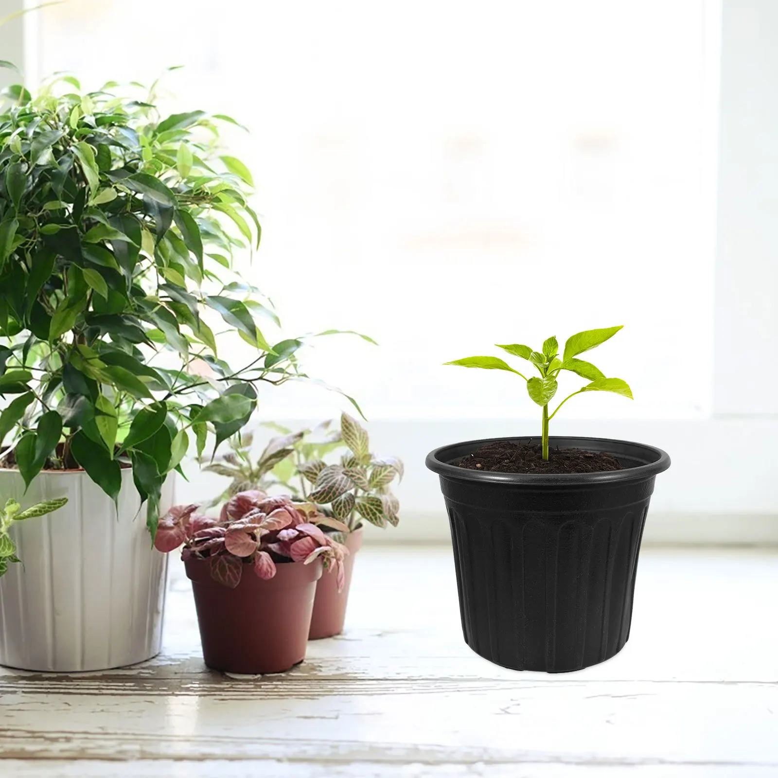 

6Pcs Black Plastic Nursery Pots Thickened Round Planter Containers for Transplant Succulent Plants Garden Flower Pot Planting