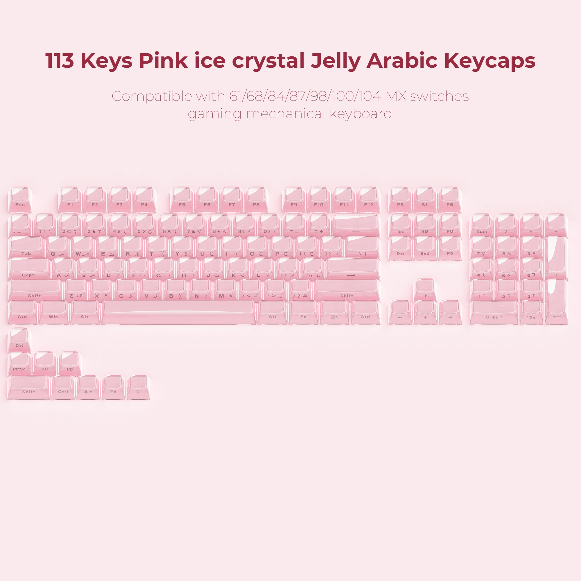 Variant: Pink Arabic