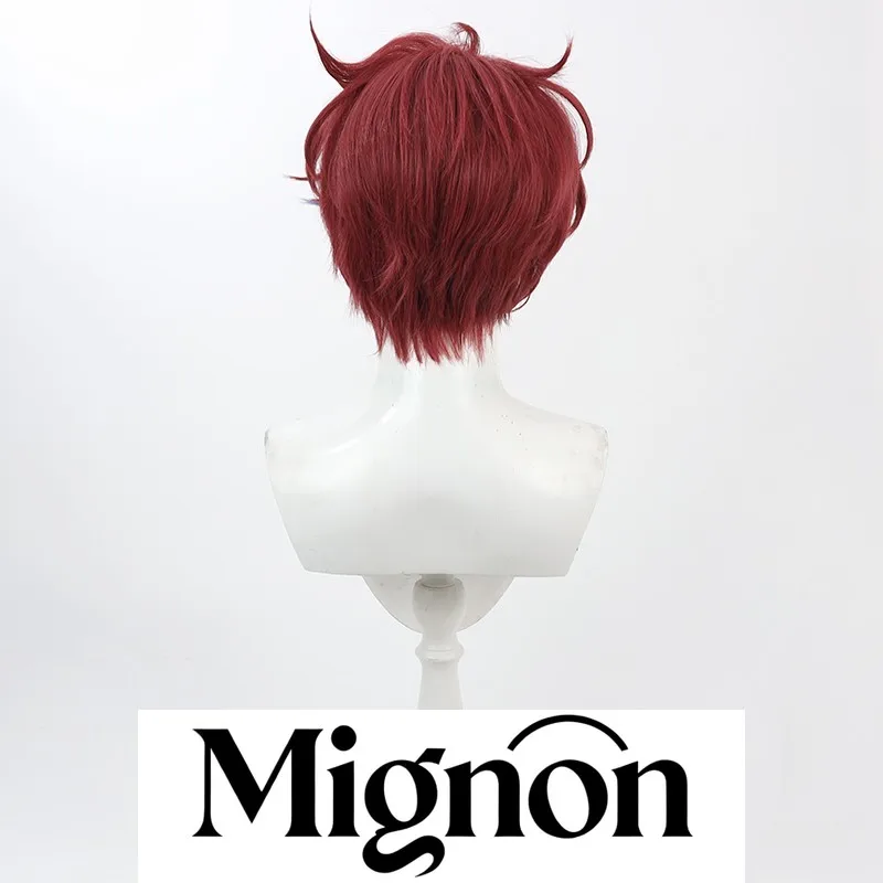 فرقة النجوم! شعر مستعار ناتسومي التنكري قصير شائك هدية الهالوين #4