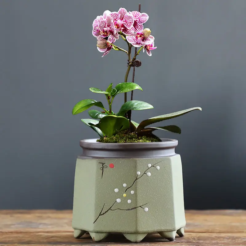 Chinese Flower Pot Purple Sand Breathable Flower Pot Household Orchid Flower Pot Creative Succulent Flower Pot Home Decor LF475