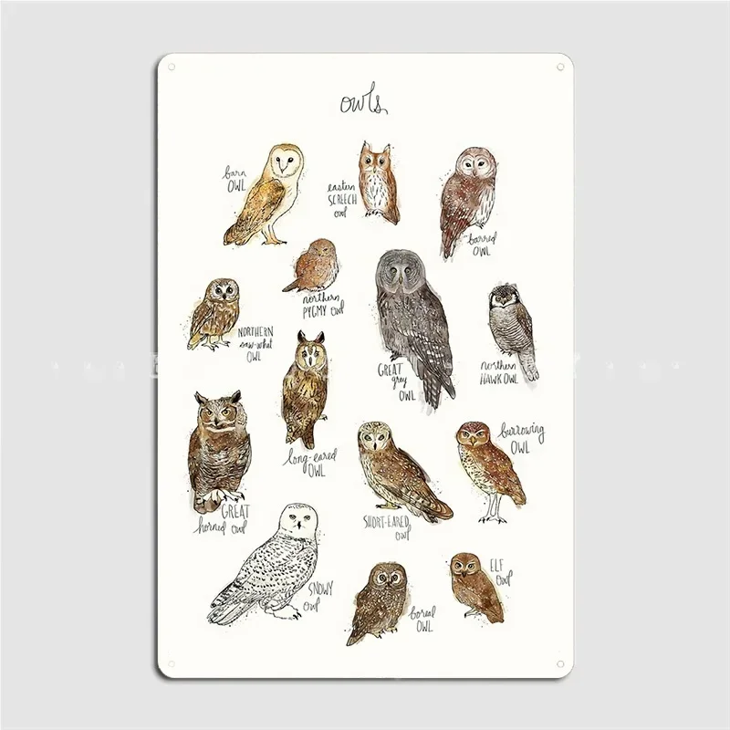 Owls Poster Metal P… - image