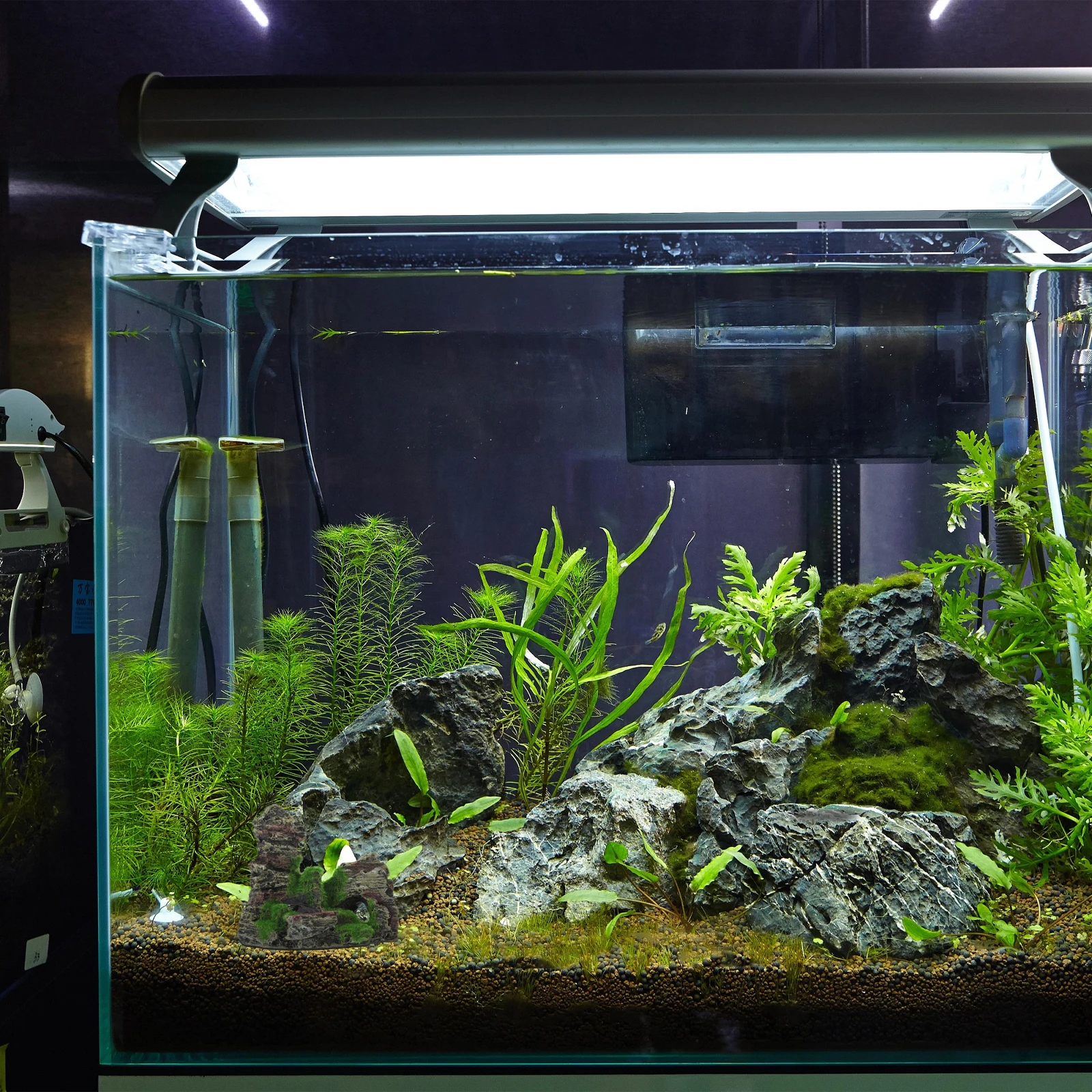 

Moss Rockery Fish Tank Hill Decoration Vivid Resin Made Non Toxic Aquarium Decorations Easy Clean Underwater Landscape Pet