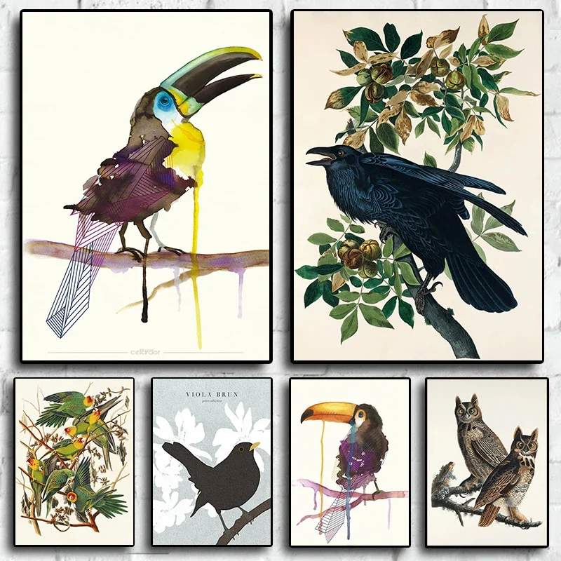 Frameless Canvas PaintingPop Colorful Animals Bird Poster Aesthetic Owl Species Illustration Sketch Canvas Print For Wall Art Ho