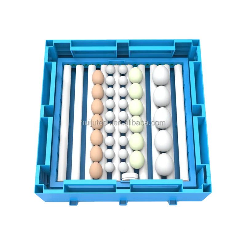 Automatic Chicken Incubator Sale 128 Eggs 12V /110V/220V