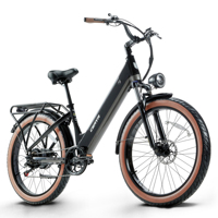 Electric Bicycle 26\