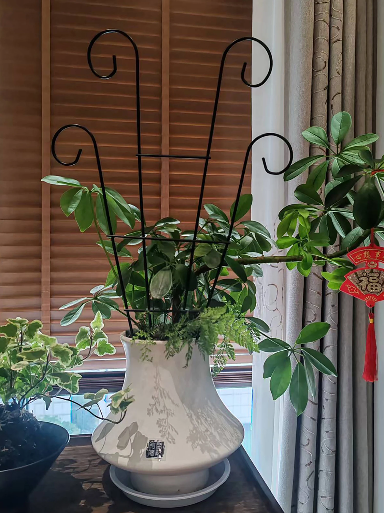 Stakes Plant Climbing Support Trellis Home Plant Care Soil Floral Arrangement Rack Vine Training Frame Shelf Flowers Stand