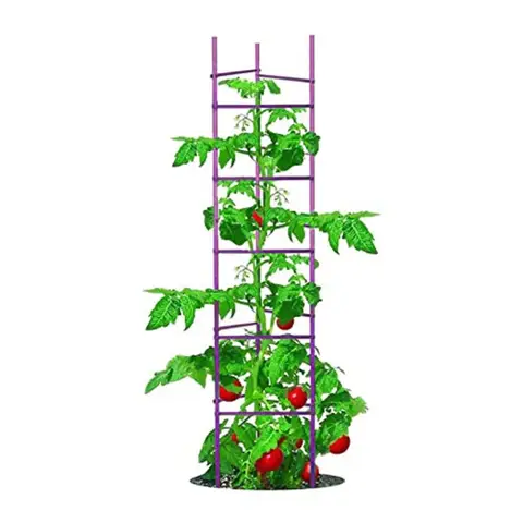 Large Tomato Cage 6 Pack Upto 73 inch Tall Tomato Trellis Garden Stakes Plant Support, 5ft Stake add 18 inch Adjustable Stakes
