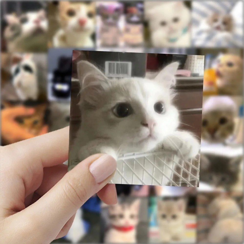 59 ملصقًا للقطط الغاضبة - شارات قطط لطيفة للديكور والحرف اليدوية لتسجيل متجر YourLife #6