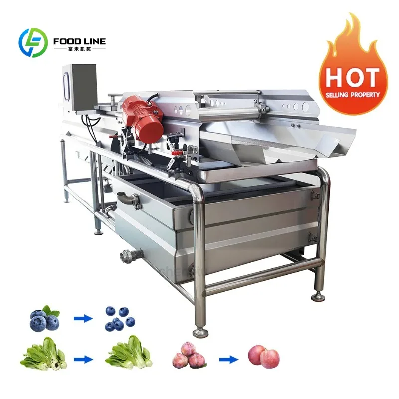 Customized Multi-Functional Conveyor Commercial Turbo Custom Made-to-Order Vortex Washer for Food Industry