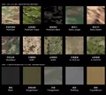 Color Customization