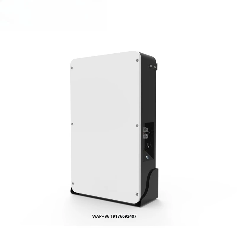 Dyness PowerboxPro Wall Mounted 10kwh 15kwh Batterie Solaire Lithium 51.2v 200ah Solar Battery for Storage System