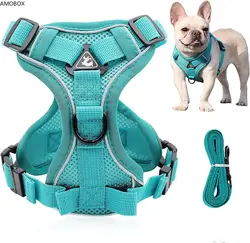 AMOBOX-Front Clip Dog Vest, Pull Dog Harness Set,Soft Mesh, Reflective, Breathable, Adjustable, Training for Small Dog, Big Cat