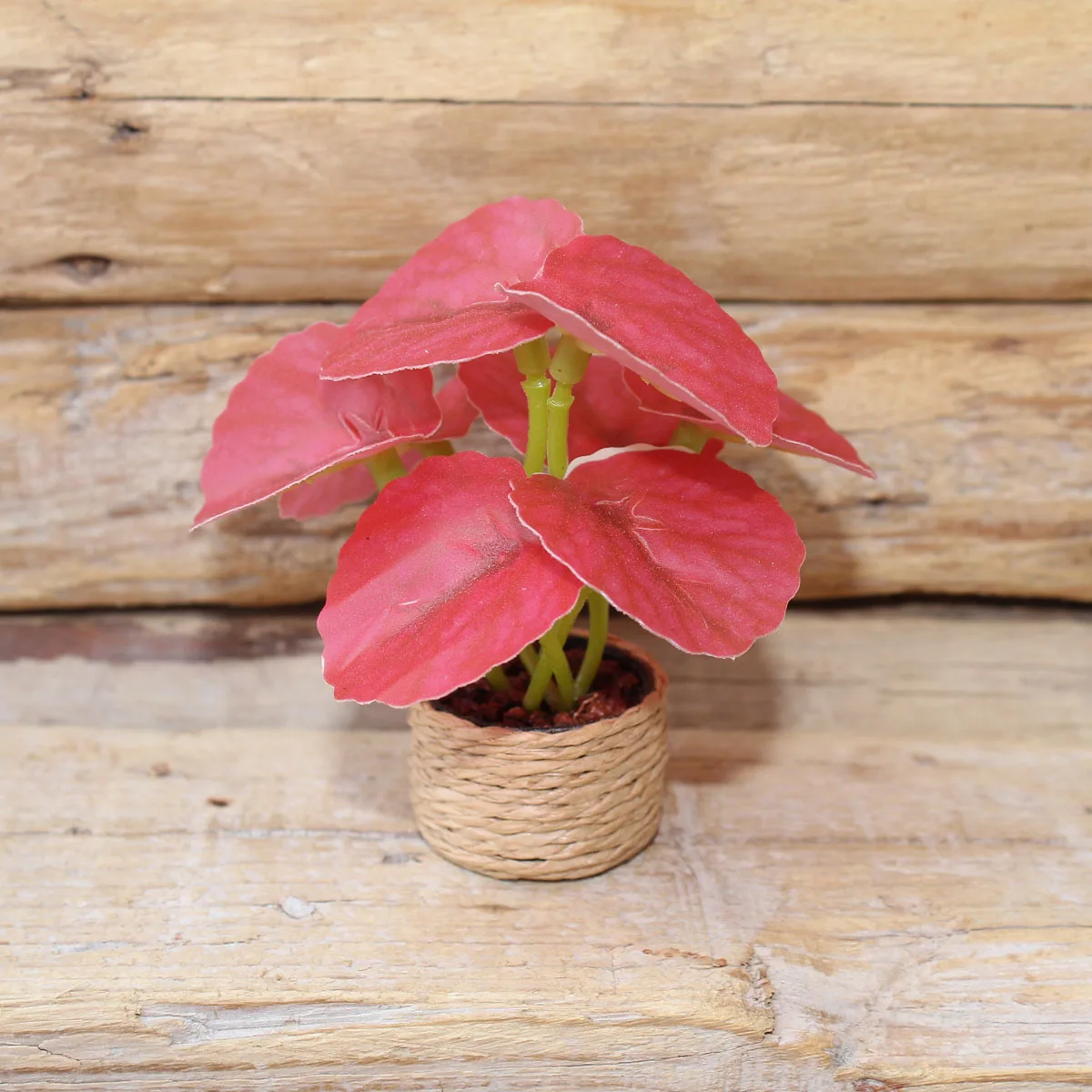 Mini Künstliche Quitte Kreative Kleine Blumentopf Pflanze Modell Miniatur Spielzeug Landschaft Puppenhaus DIY Dekorationen Puppe Zubehör