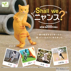 Yell capsule toys kawaii cute Chatra Mike gray Shiro Hachiware cat kitten shall we nyansu? figures