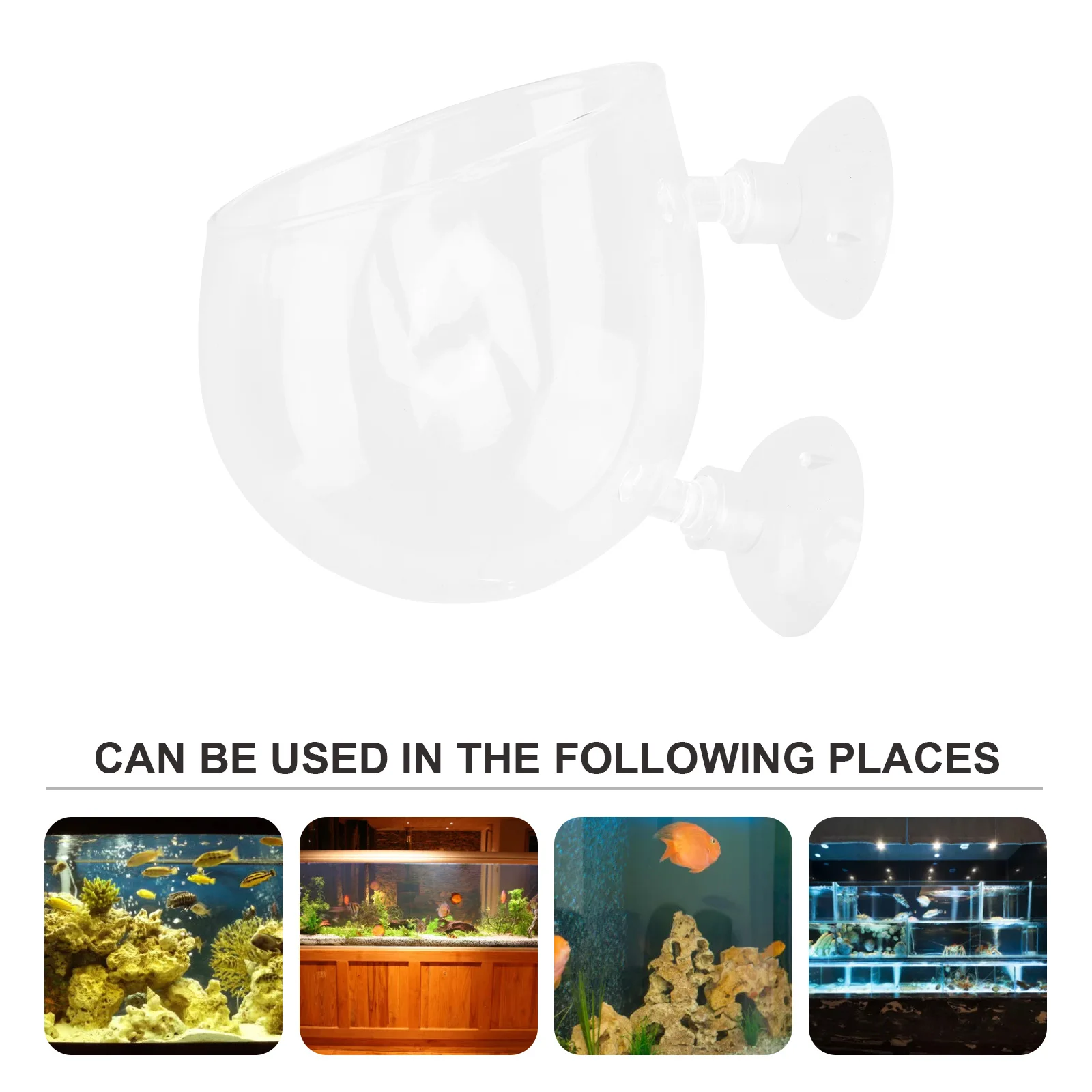 

Transparent Glass Water Plant Cup Strong Suction Cups Permeable Holes Freshwater Saltwater Tank Decoration Aquatic Plant Cup