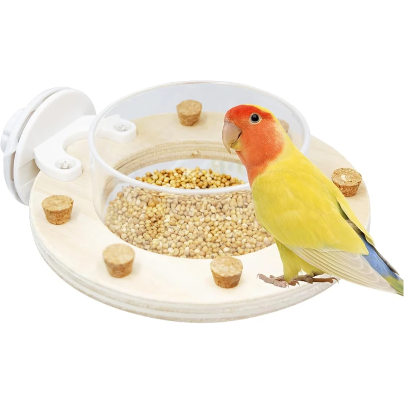 Bird Parrots Feeding Bowl with Cork Stopper Toys Chew Toys Transparent Bowl Plastic Food Cup For Cage Hanging Seed Water Feeder 2