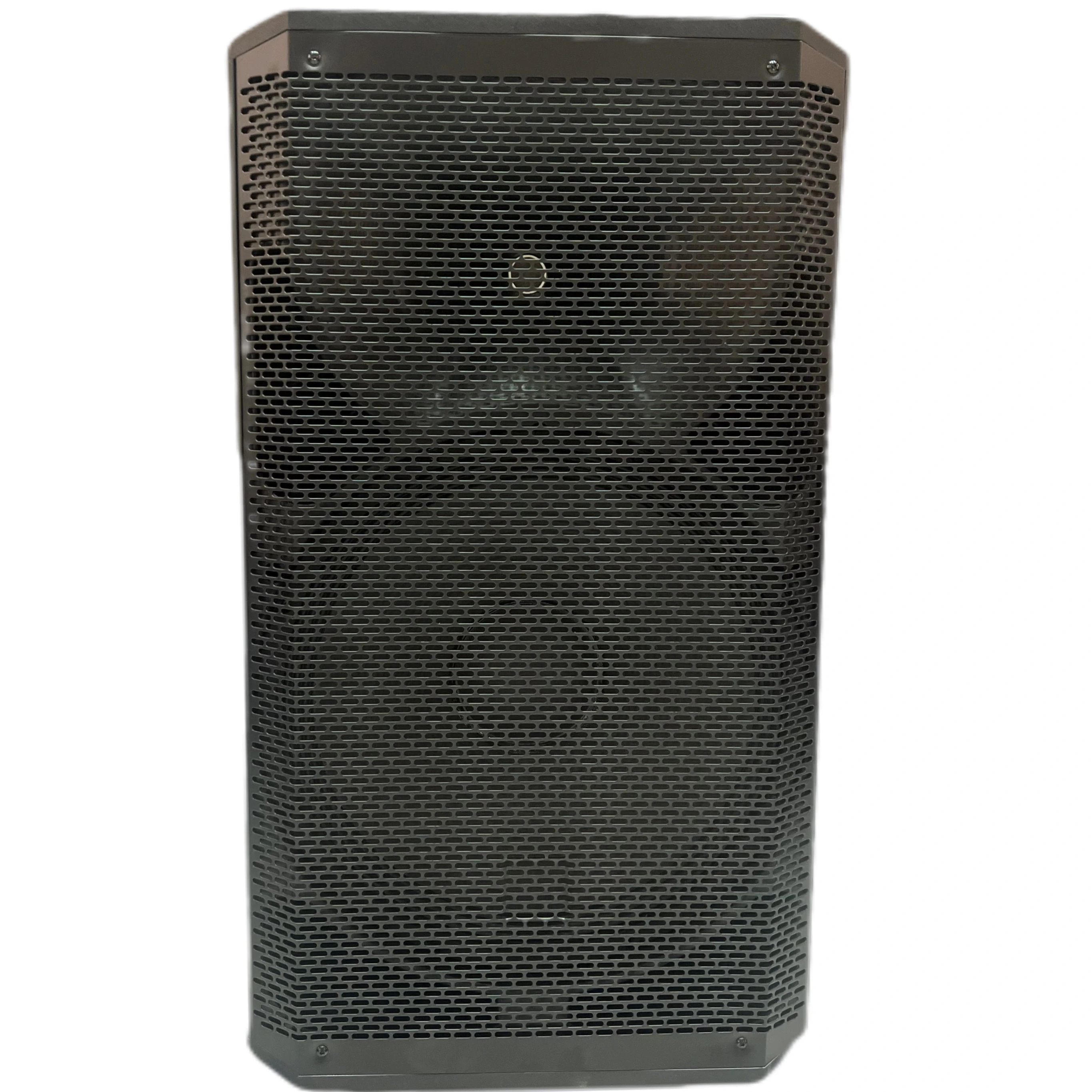 

Одиночный 15-дюймовый пластиковый динамик/домашний кинотеатр/использование развлекательного шоу на открытом воздухе