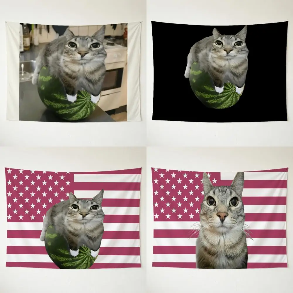 meme silly W-Watermelon Cat Wandteppich, waschbar, weicher Wandteppich, Wanddekoration für Wohnzimmer, Schlafzimmer