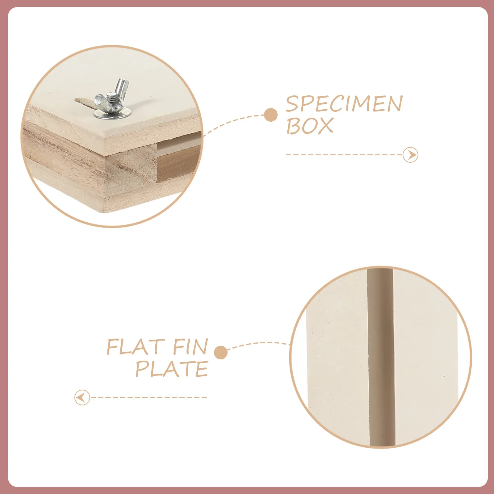 Butterfly Specimen Board – Adjustable Insect Spreading Plate for Pinning, Mounting & Display