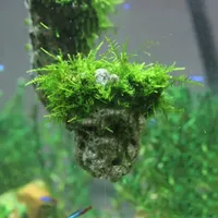Small Size 5cm Natural Unique Shape Aquarium Fish Tank Floating Rock Stone Suspended Stone Floating Pumice Decor Rock Ornament