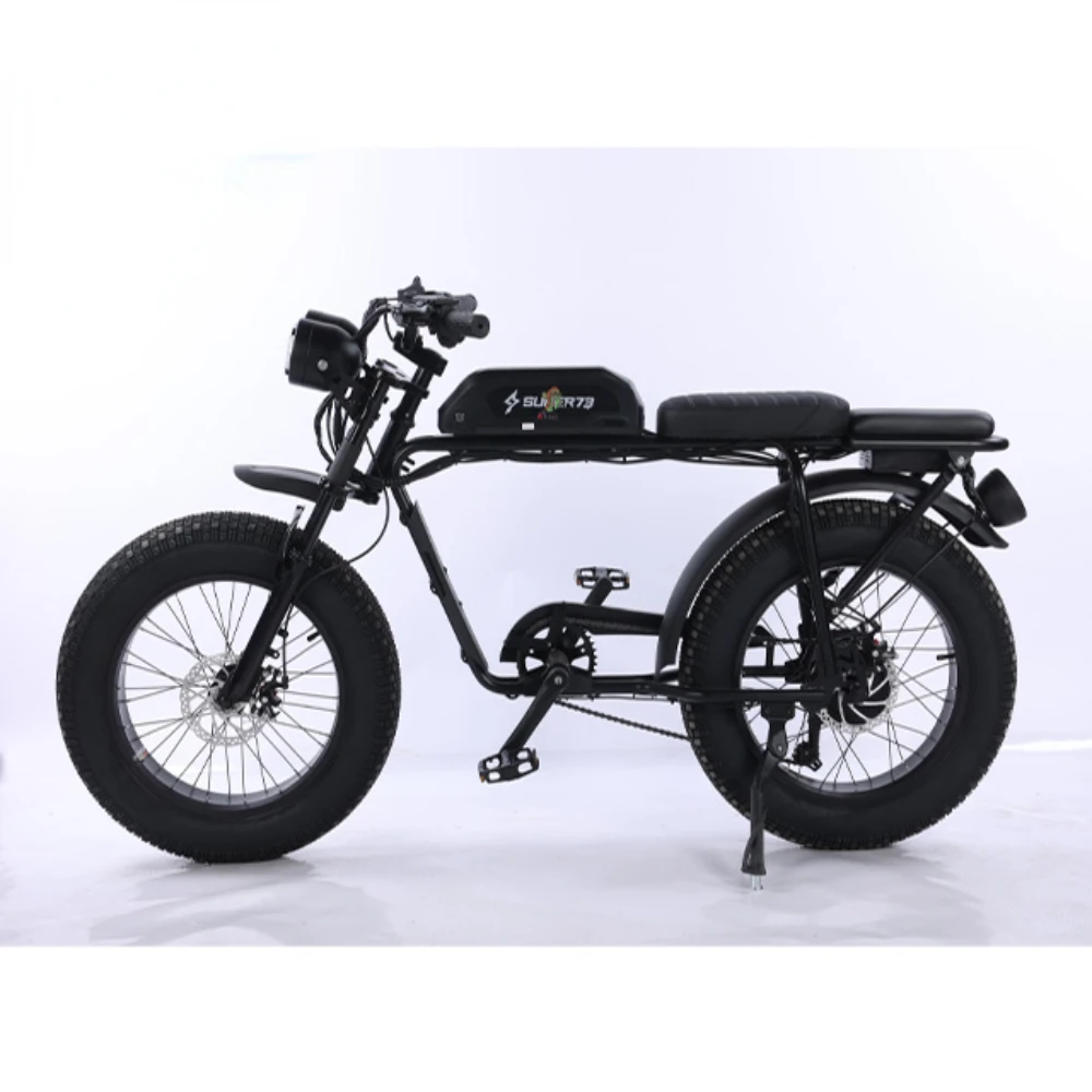 

500w 48v 20 Inch fat tires Snow Lithium Battery Single Speed Urban Leisure Bike China Tianjin Bicycle Factory Customized Export