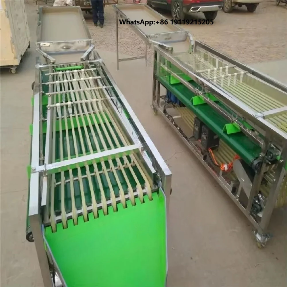 Hot Sell Blueberry Grading Sorting Machine Berries Fruit Grader Sorter Machine  Walnut Garlic Sorter Sorting Machine