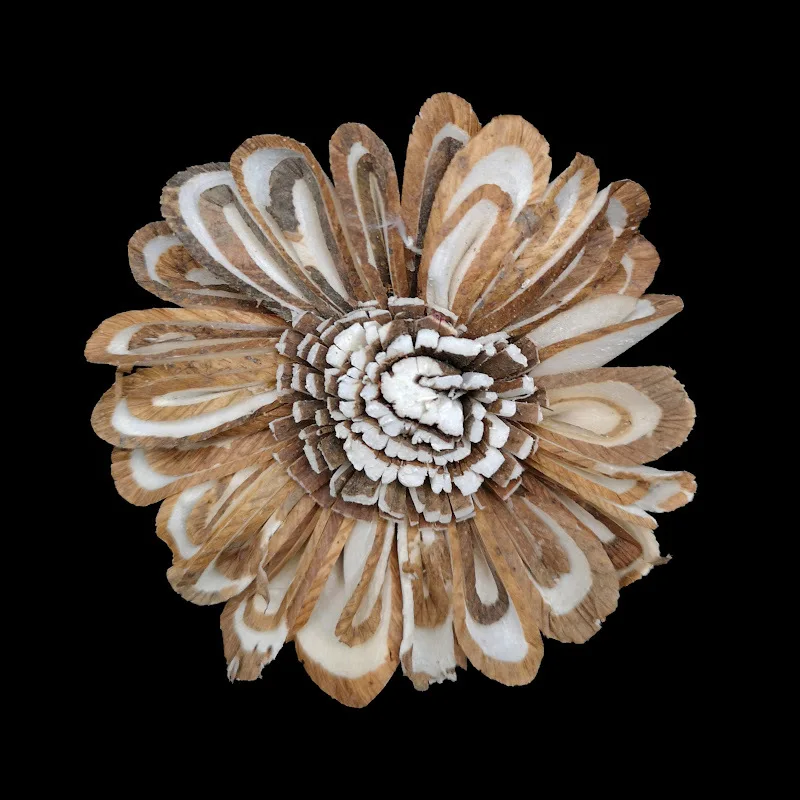 10PCS African Daisy Hand-made DriedFlowers No-fire Aromatherapy Sola Flower for Reed Diffuser Home Decoration Flower Arranging