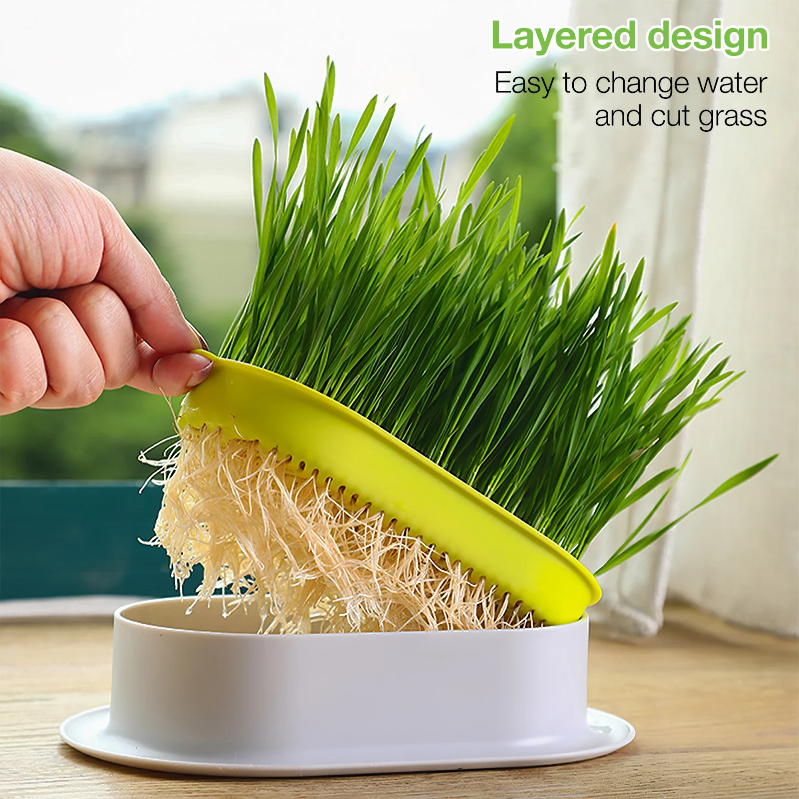 3pcs Cat Grass Pot Set Soilless Hydroponic Box Practical Home Use Large Capacity Water Storage Durable Plastic Planter