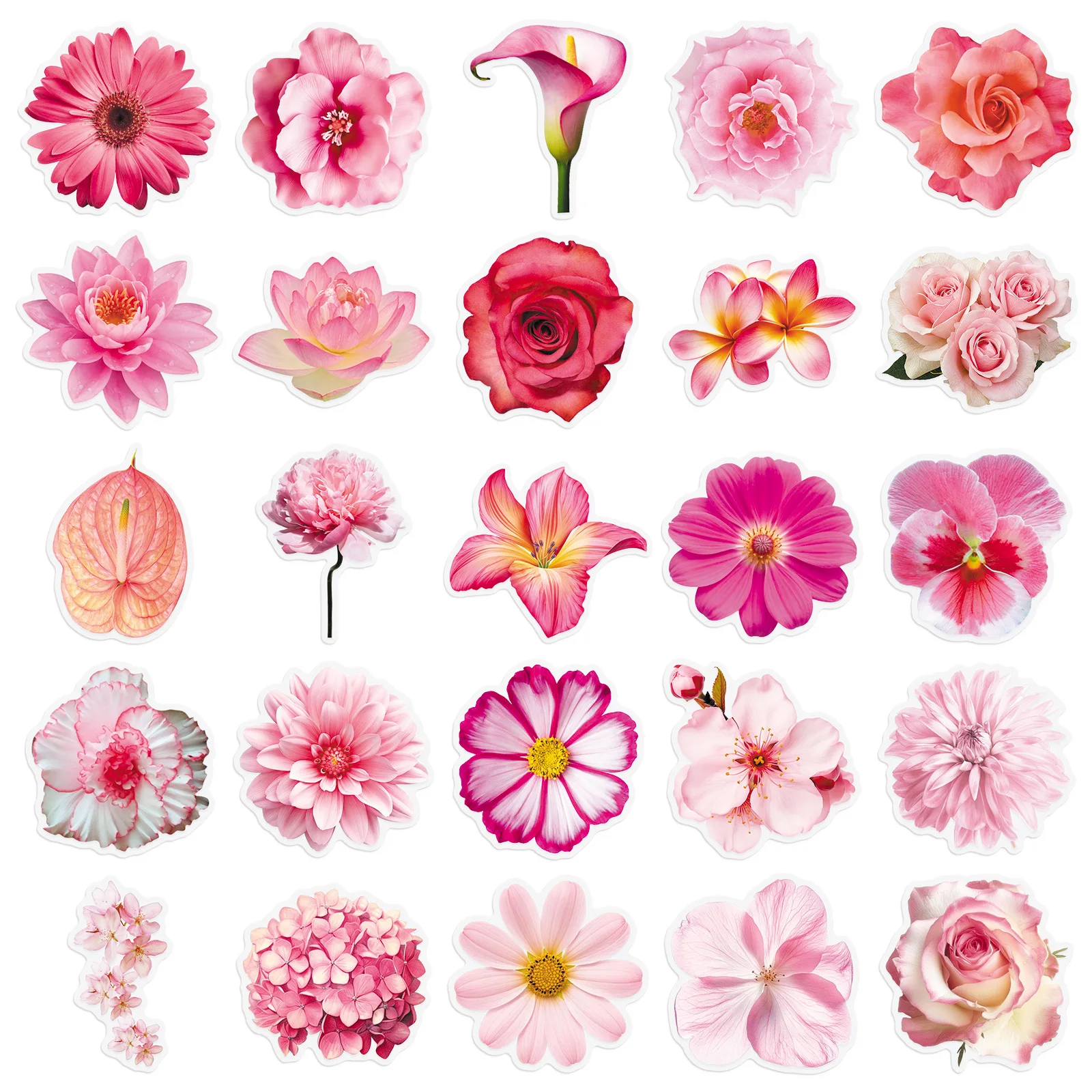

10/50PCS Transparent Flower Petal Powder Graffiti Stickers Realistic Pink Flowers Plants DIY Toys Secret for Aesthetic Decals