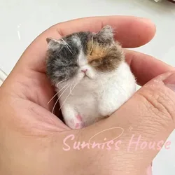 Sheep Felt Poke Cat Handmade Material Bag for Beginner,Diy Wool Needle Felting, Simulation New Friendly Creative Animal Gift