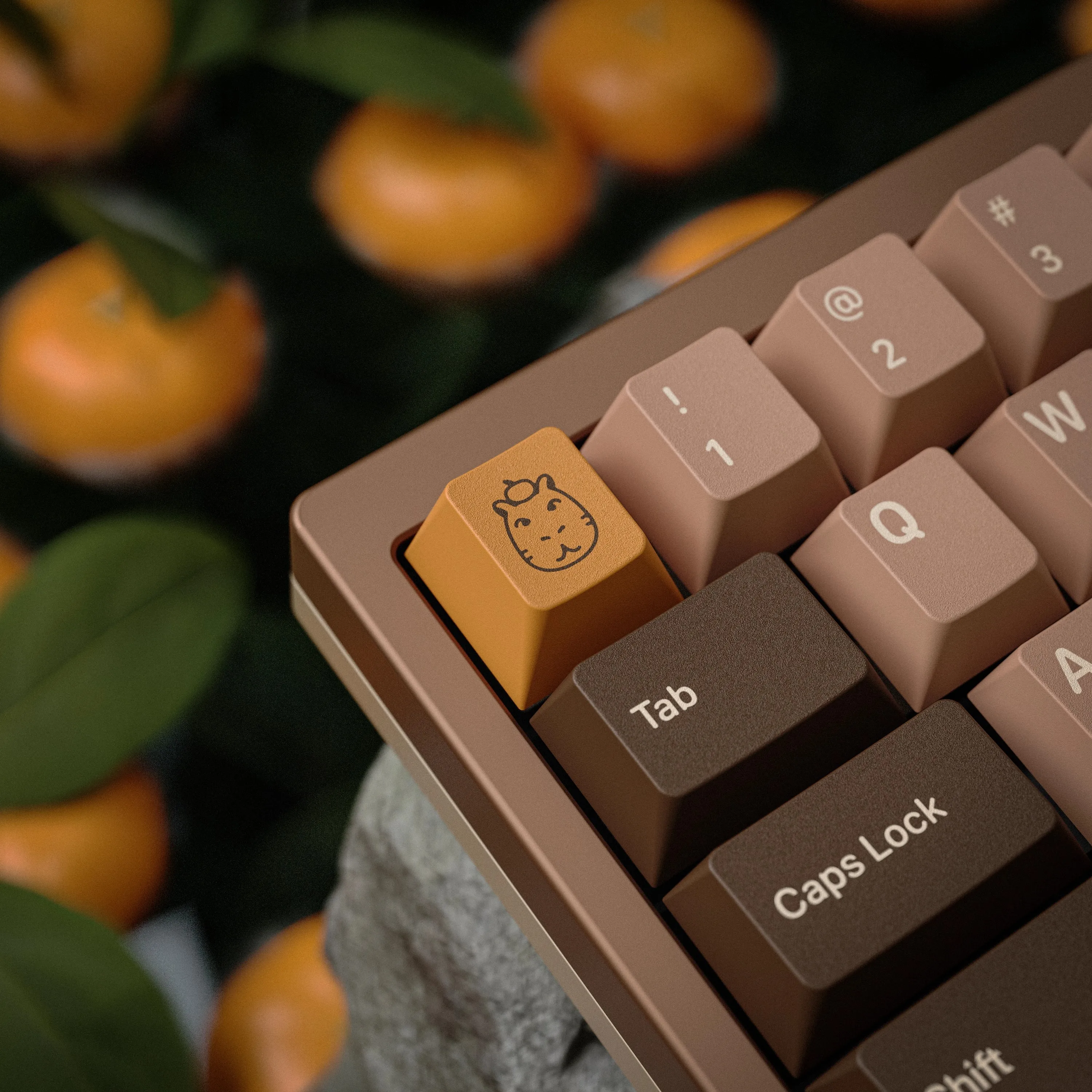 Cute Capybara Theme Keycaps 146 Keys Cherry Profile Keycap ABS 1.7mm Custom  Cartoon Keycaps for Mechanical Keyboard Gaming Gift