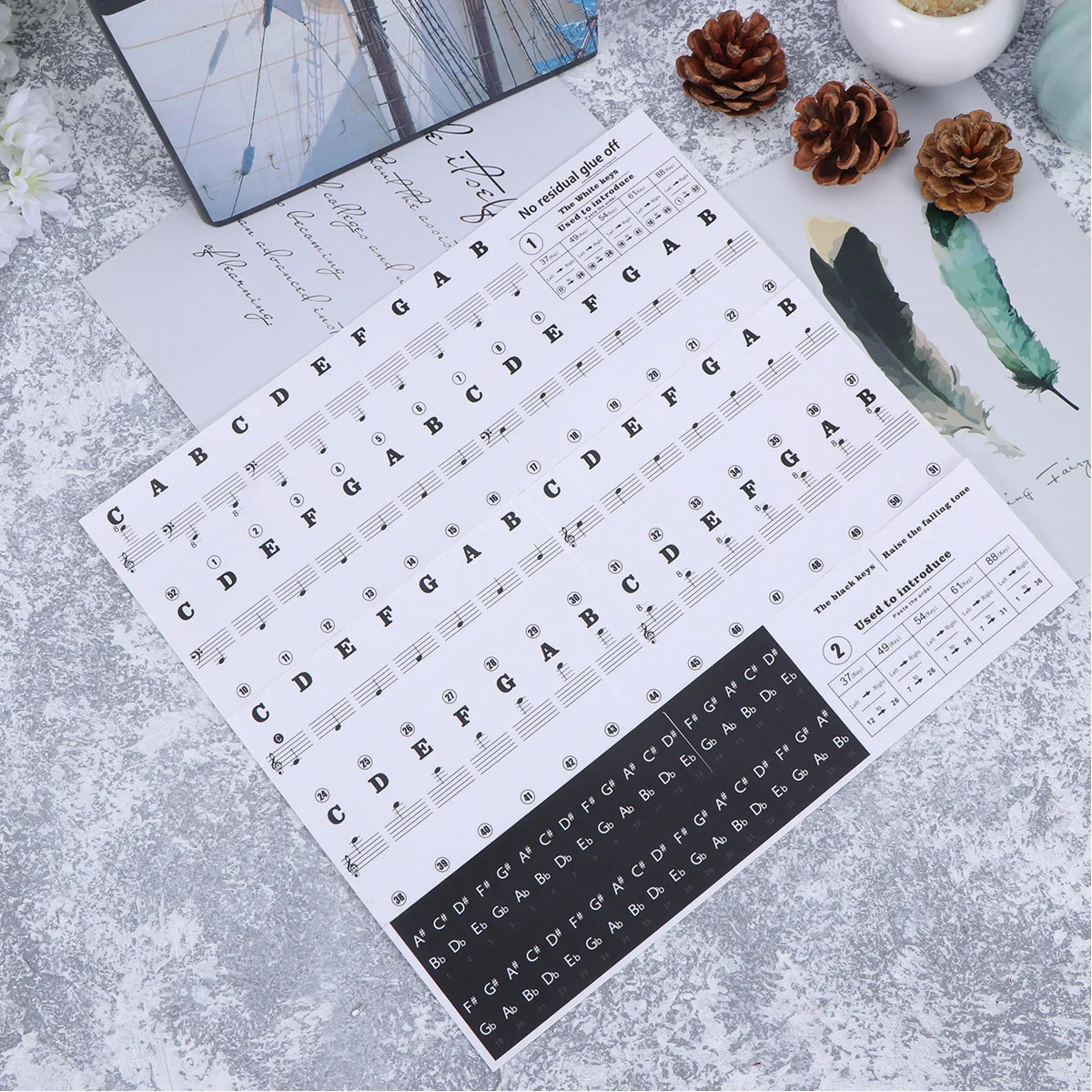 

Piano Stickers Transparent Durable Easy Application Removal Reuse Clear Printed Eye Protection Perfect for Beginners Piano