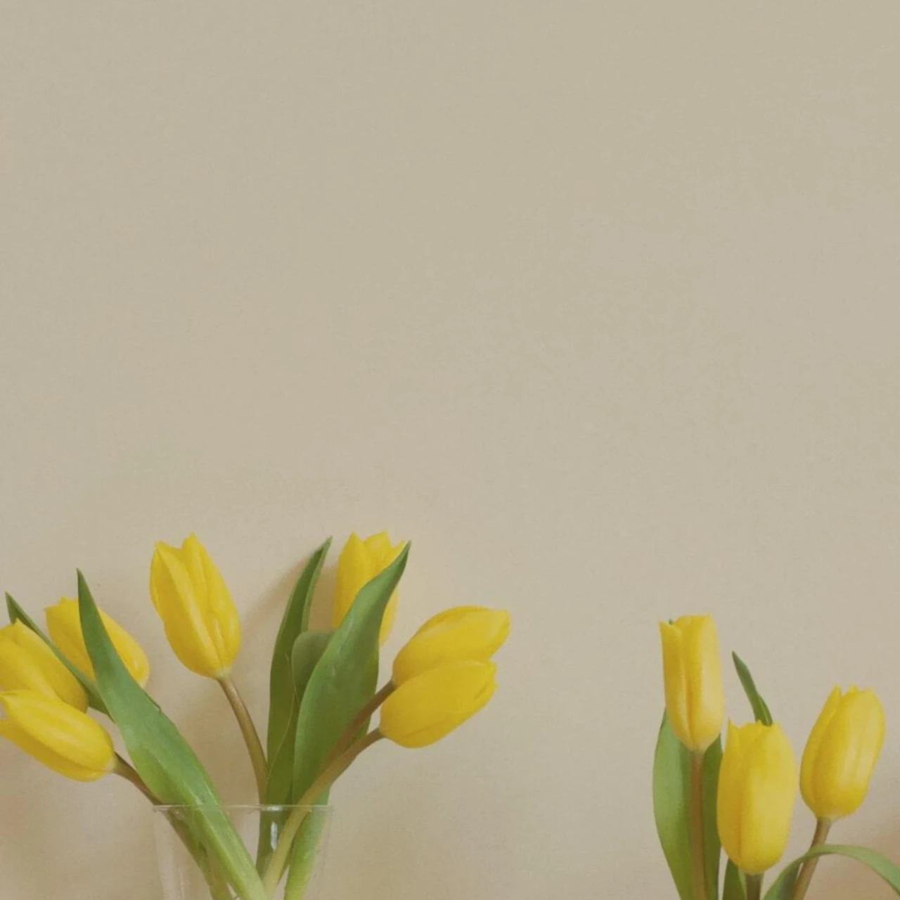 Aluminiowy radiator silnika GPM z wentylatorem chłodzącym do ARRMA 1/10 Kraton 4X4 4S