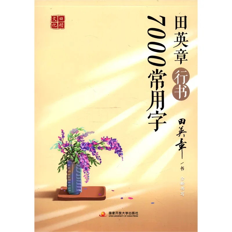 Tian Yingzhang Running Script 7000 Common Chinese Characters Calligraphy Practice Book Chinese Cursive Copybook for Beginner