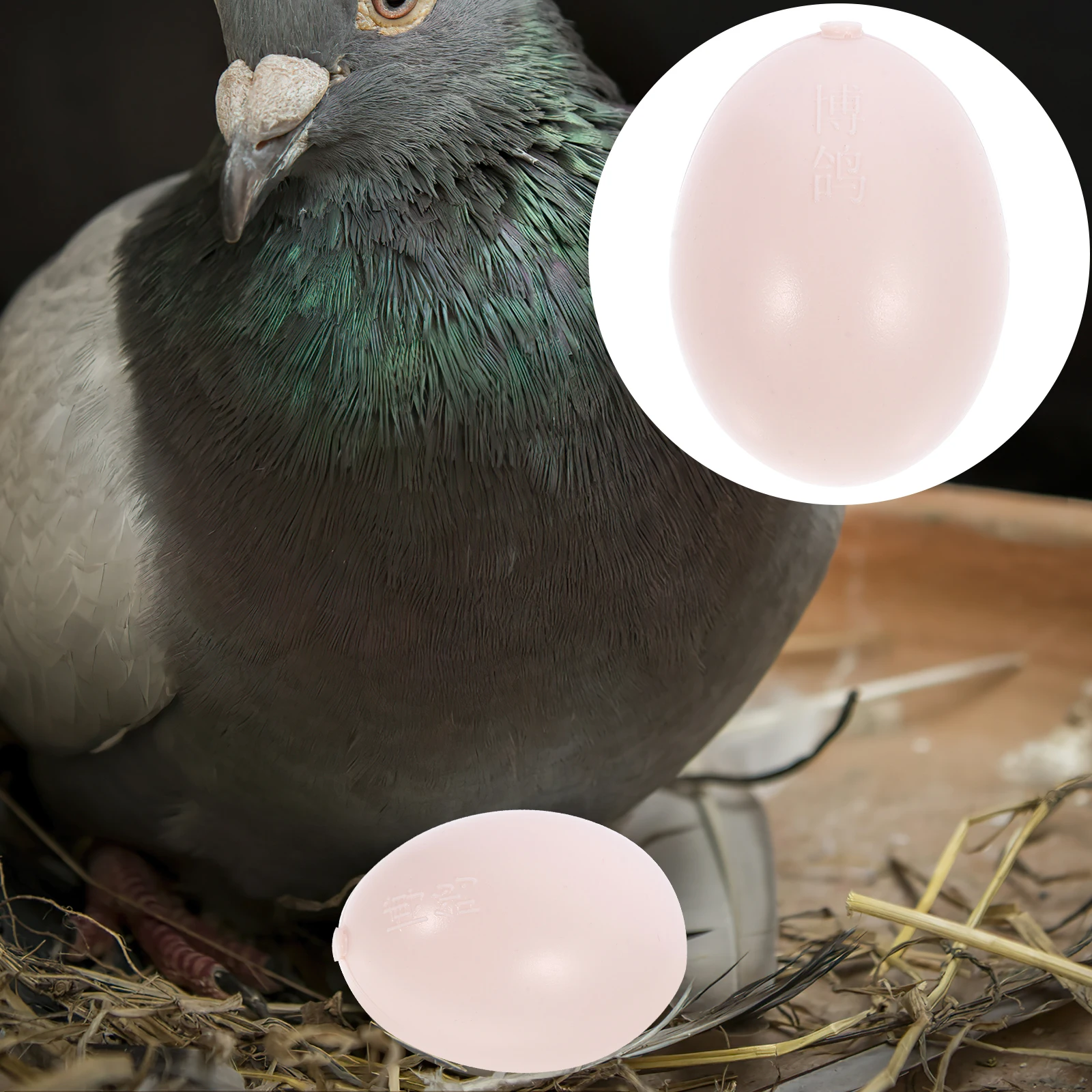 

10 Pcs Water-filled Fake Pigeon Eggs Serving DIY Crafts Where Decor Funny Carrier Creative