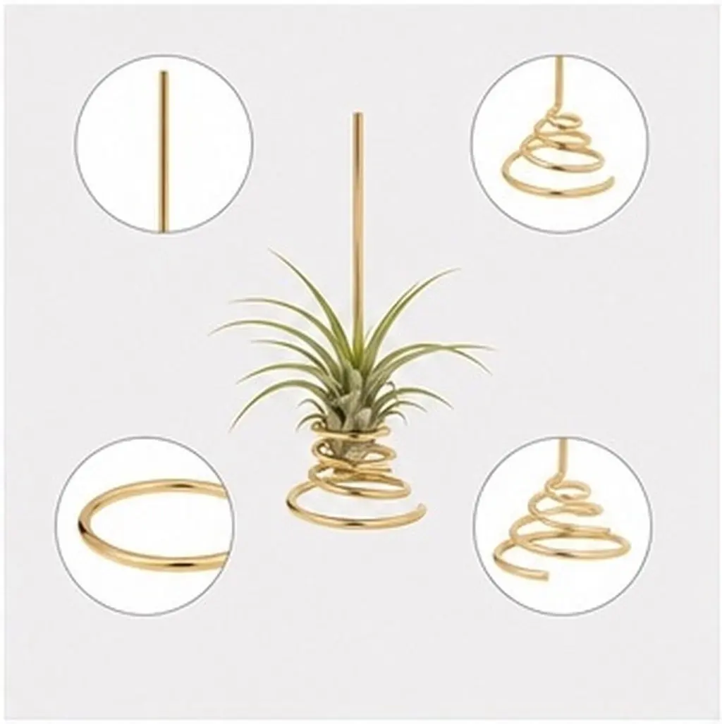 6Pcs Electroplated Metal Air Plant Stand Geometric Spring Base Desktop Wall Tillandsia Holder Plant Display Rack