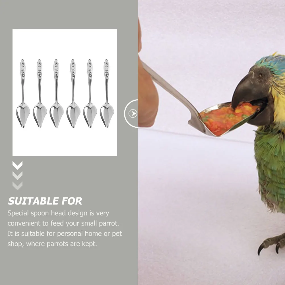 

6pcs Stainless Steel Parrot Feeding Spoon Durable Baby Bird Hand Spoon Multi Function Pet Accessory Cockatiel Tool Bird Feeding